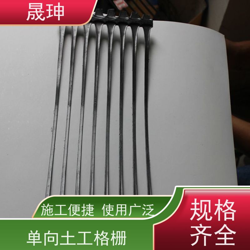 晟珅 实力厂家 单向土工格栅 应用广泛 库存充足