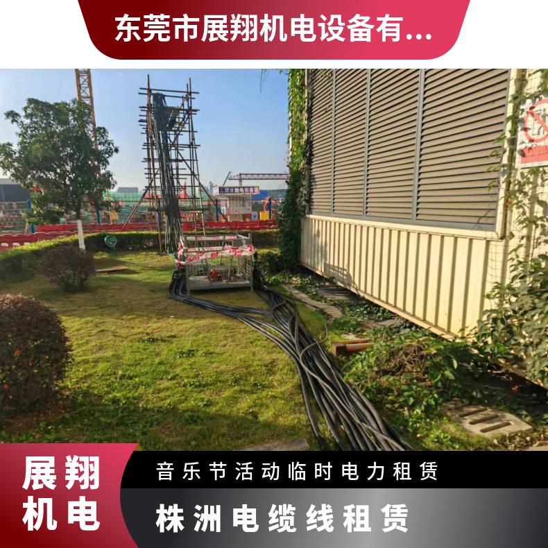 平方毫米(MM2) BV铜芯聚氯乙烯绝缘电线 黑色 随意搭配 电缆线租