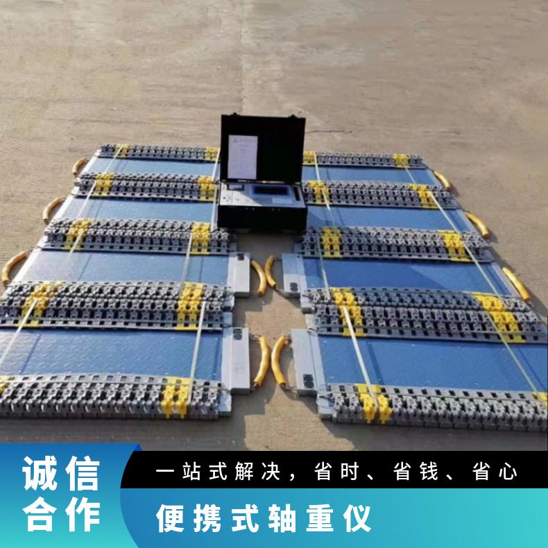 手持式便携汽车称重仪 100吨 操作简单 工地适用
