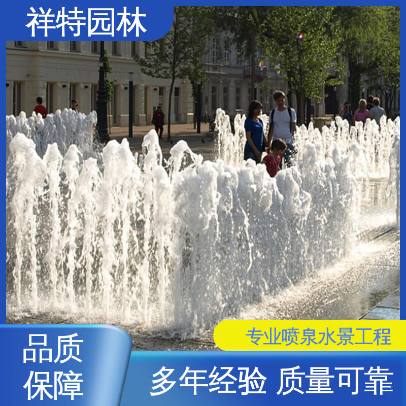 祥特园林 操作简单 水景工程施工 喷射方式独特 文旅夜游音乐喷泉