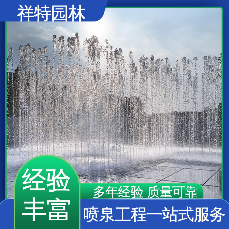 祥特园林 远程指导 多年经验 水池喷泉 公园水景设备