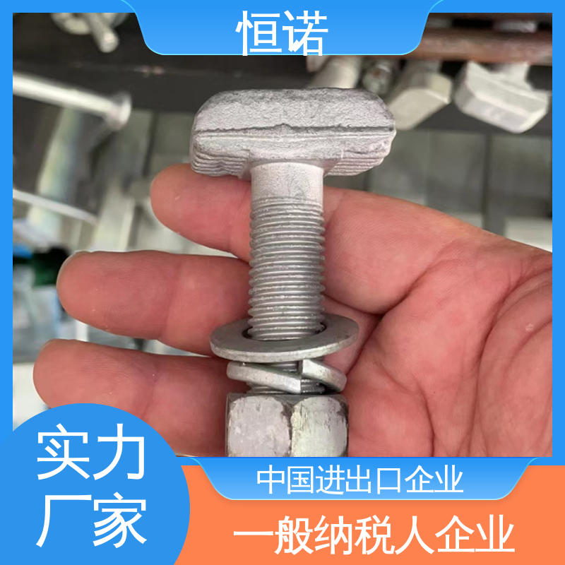 恒诺 牢固耐用 厂家供应 来图定做 地铁预埋槽道T型螺栓