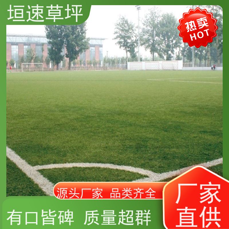垣速草坪 笼式足球场 改建 49一平米 胶水固化时间短