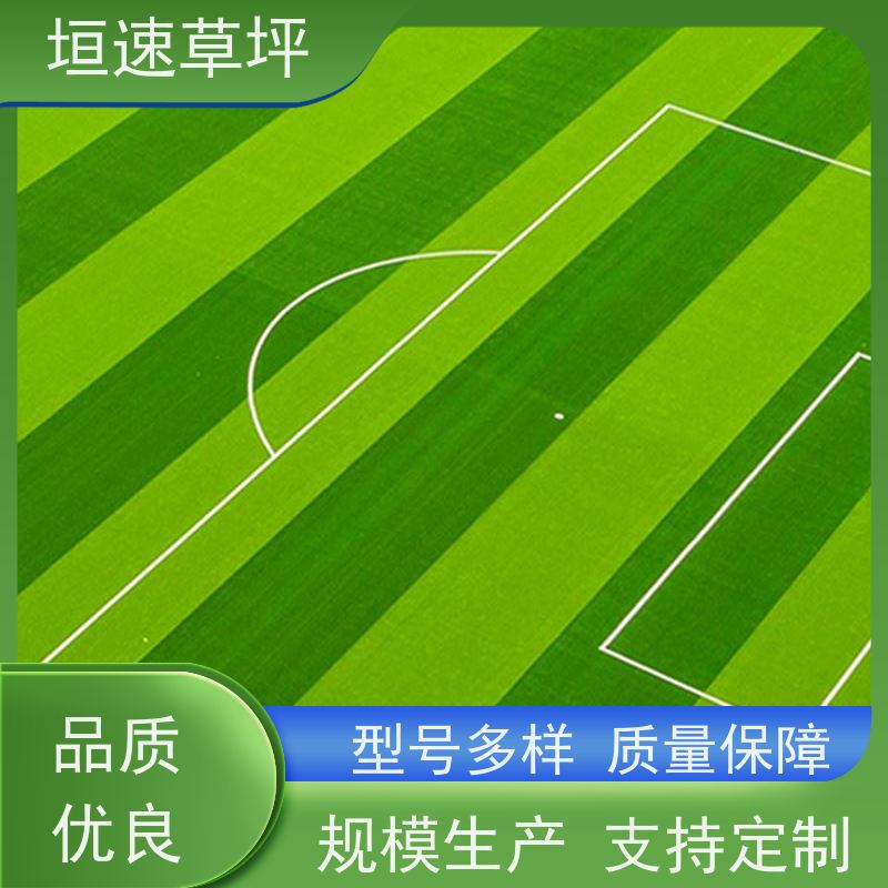 垣速草坪 门球场 建设 耐磨吸震 允许轻微变色，2h后恢复