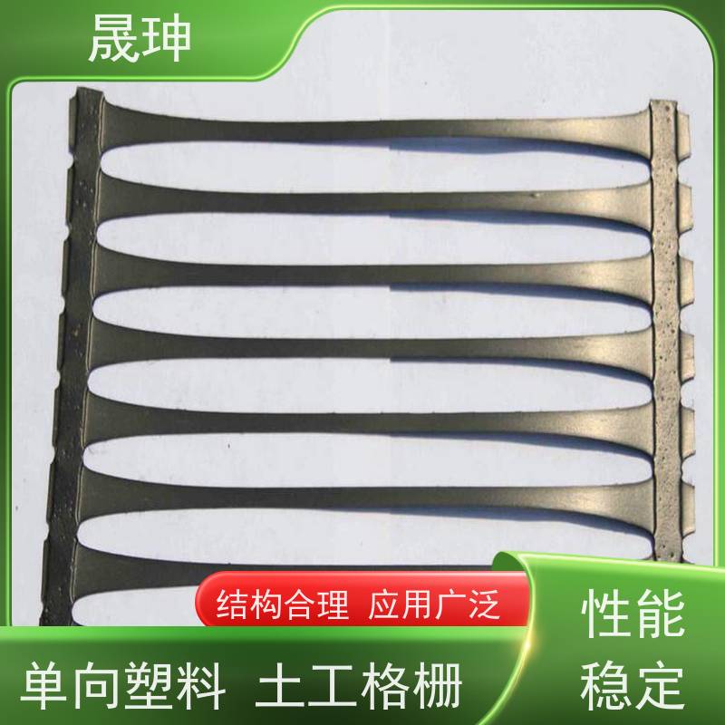 晟珅 全国供应 单向土工格栅 不易变形 诚信经营