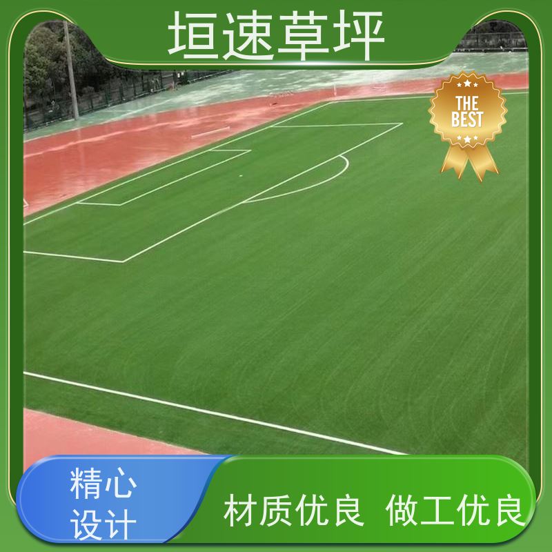 垣速草坪 五人制足球场 改造 弹性力强 颜色多样 红黄蓝绿等