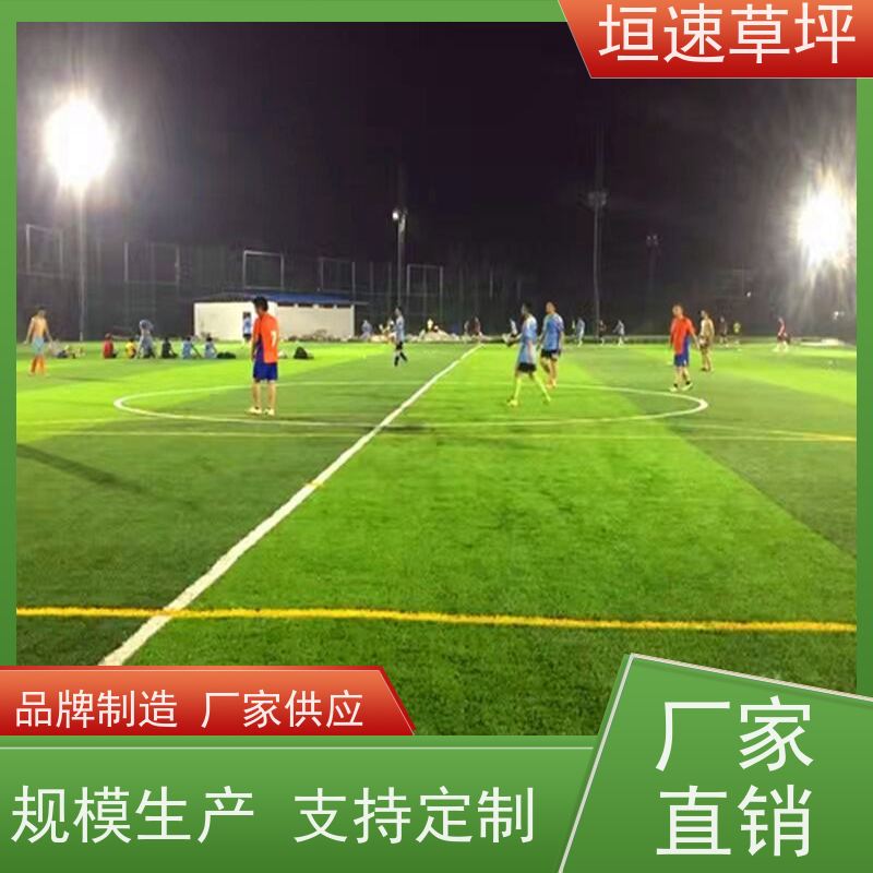 垣速草坪 门球场 人工假草皮 承包施工 涂膜平整无明显流挂