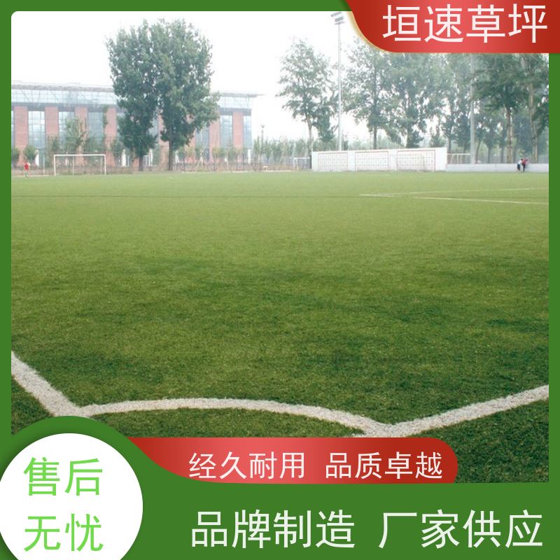 垣速草坪 八人制足球场 施工 运动场人工草皮 牢固耐用