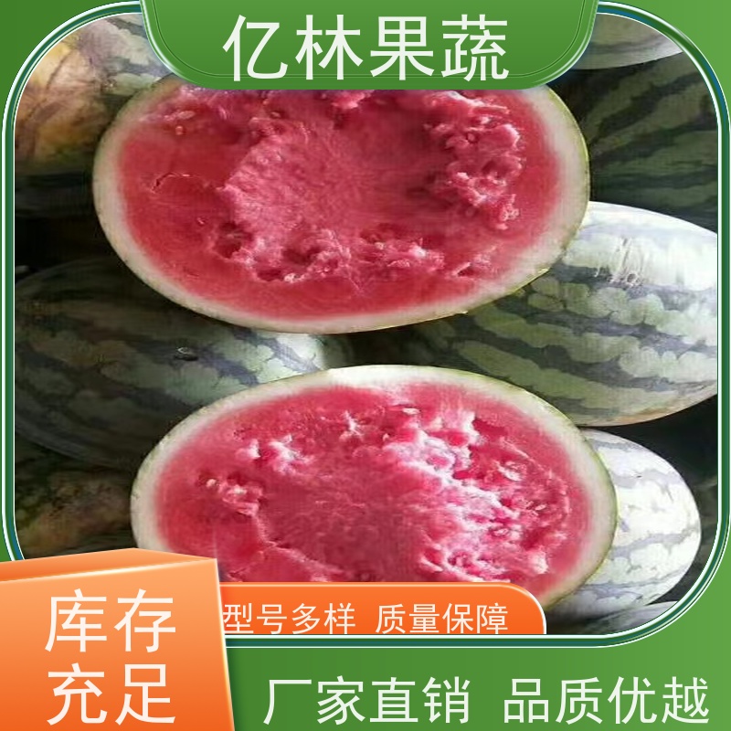 砀山西瓜水果 新鲜冰糖麒麟西瓜8424无籽西瓜 皮薄超甜现摘现发京欣西瓜基地直销