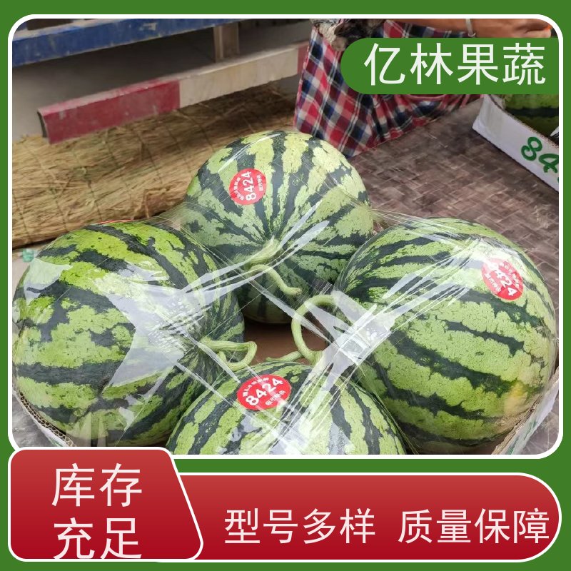 早熟8424西瓜 8424西瓜批发价格 安徽砀山露天西瓜上市