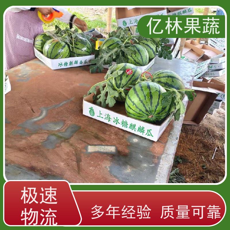 麒麟西瓜 新鲜应季水果 包邮 超甜薄皮 基地现摘发货