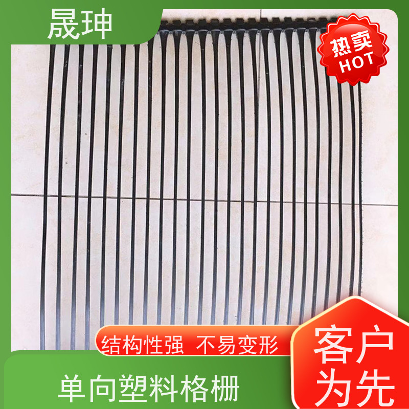 晟珅 长期供应 单向塑料土工格栅 结构合理 性价比高