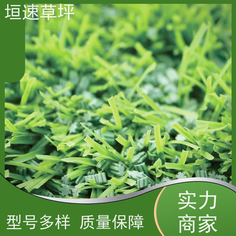 垣速草坪 老年门球场 施工 场地规划 耐油性漆膜不剥落