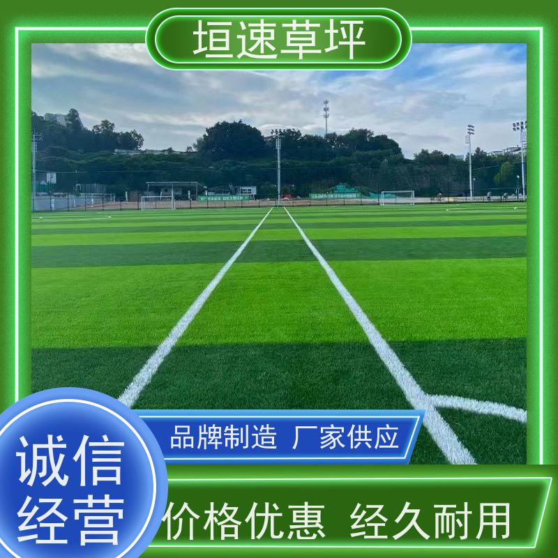 垣速草坪 户外足球场 施工 运动场人工草皮 包工包料