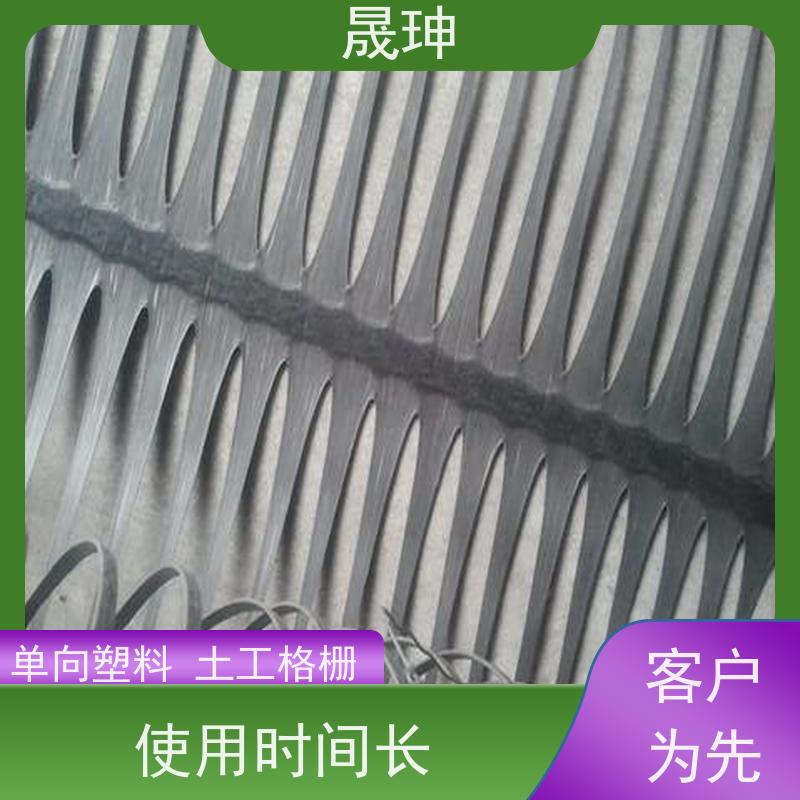 晟珅 长期供应 单向塑料拉伸土工格栅 结构性强 货源充足