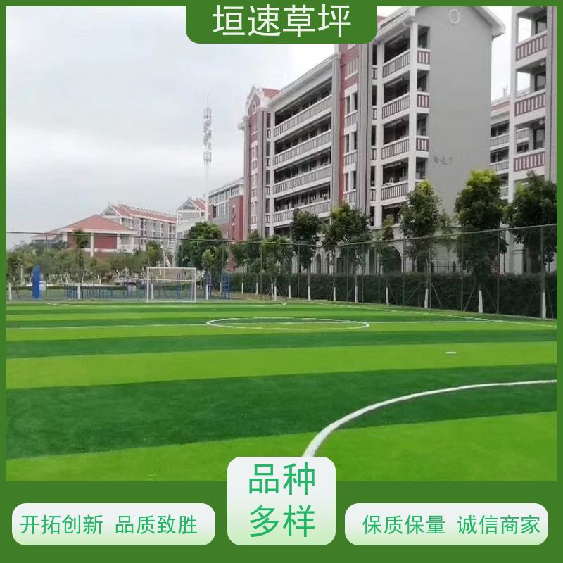 垣速草坪 足球场 人工草皮 材料厂家 耐水性漆膜不起泡