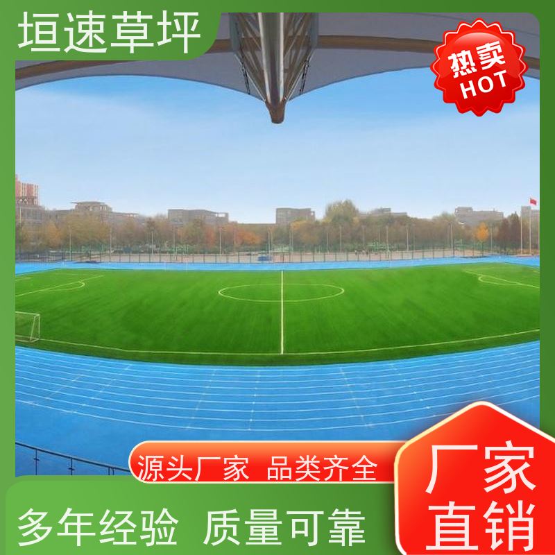 垣速草坪 七人制足球场 改建 49一平米 胶水固化时间短