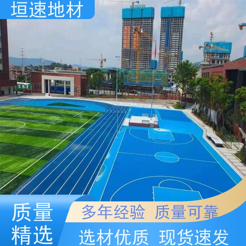垣速体育 训练场 羽毛球场地建设厂家 胶水固化时间短 多色可选