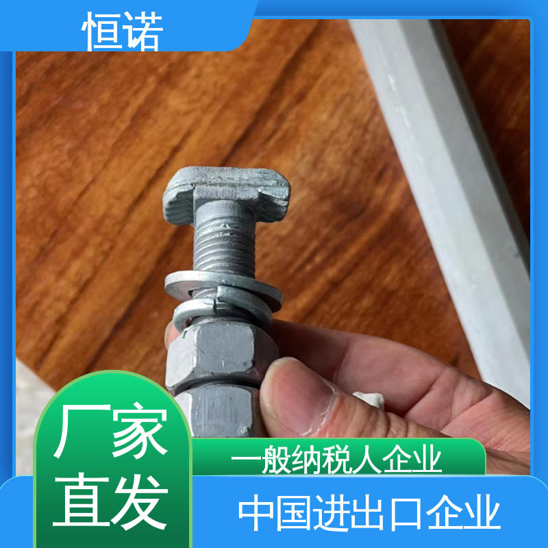 哈芬槽道不锈钢T型螺栓 可寄样品 规格齐全 厂家供应 恒诺