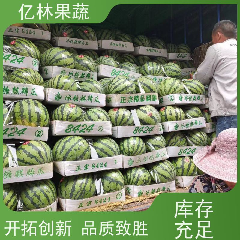 国西瓜上市品种（西瓜基地代办）大棚西瓜、小拱棚西瓜、陆地西瓜、专业代办代发西瓜