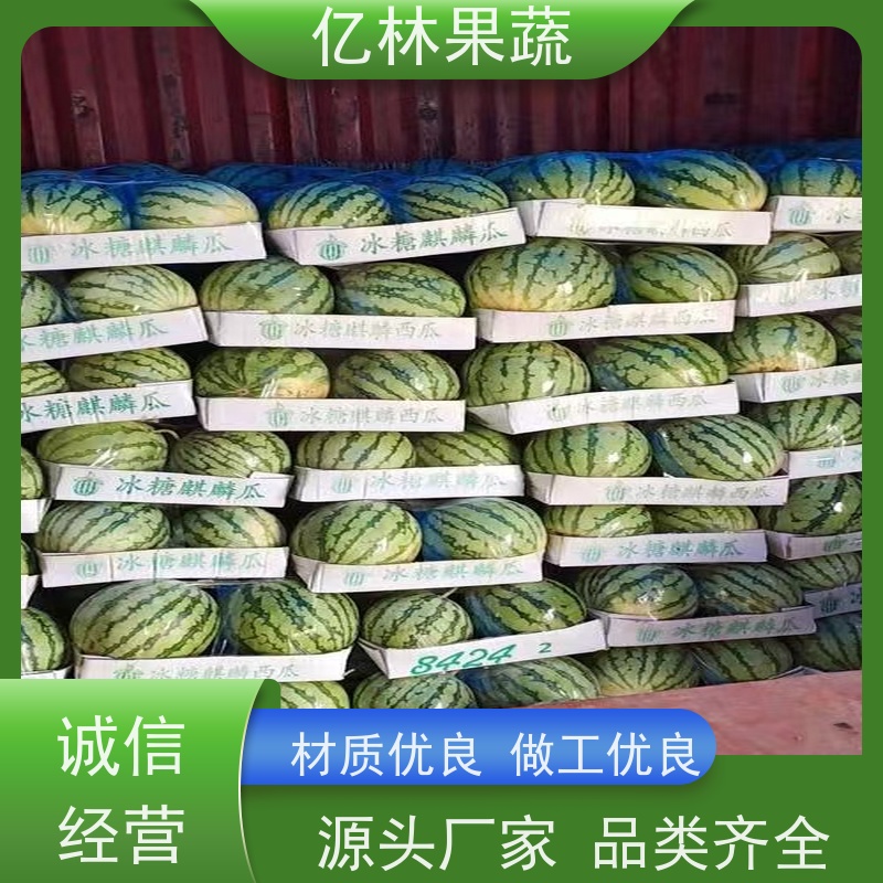 哪里大棚西瓜价格便宜 哪里西瓜种植面积大