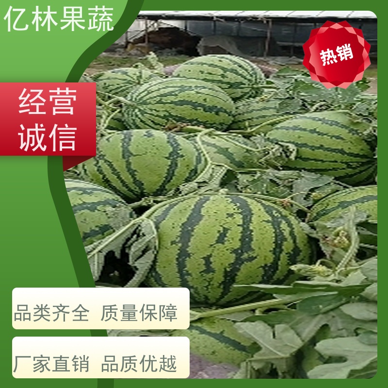安徽砀山西瓜水果 新鲜冰糖麒麟西瓜8424无籽西瓜 皮薄超甜现摘现发