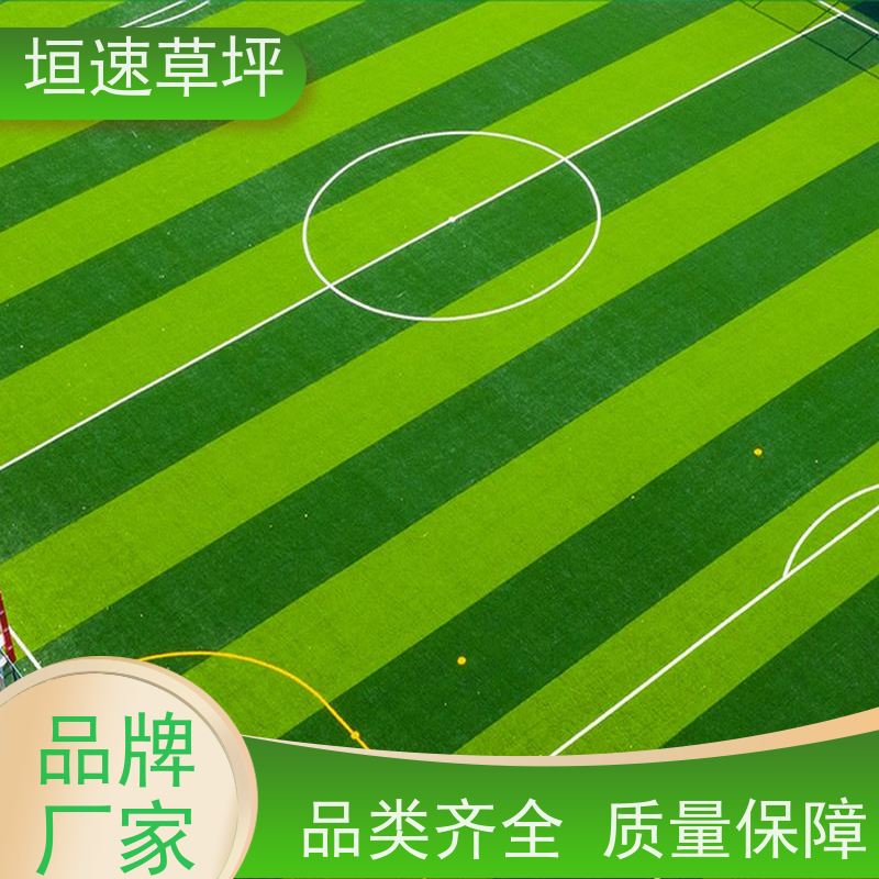 垣速草坪 户外足球场 翻新 运动场人工草皮 防滑耐用