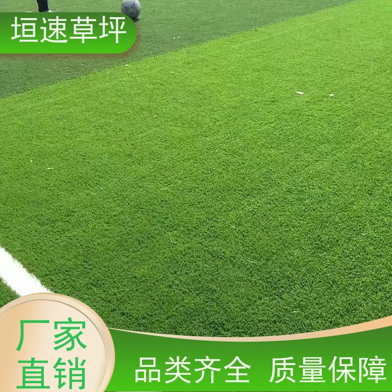 垣速草坪 7人制足球场 改建 耐磨吸震 允许轻微变色，2h后恢复