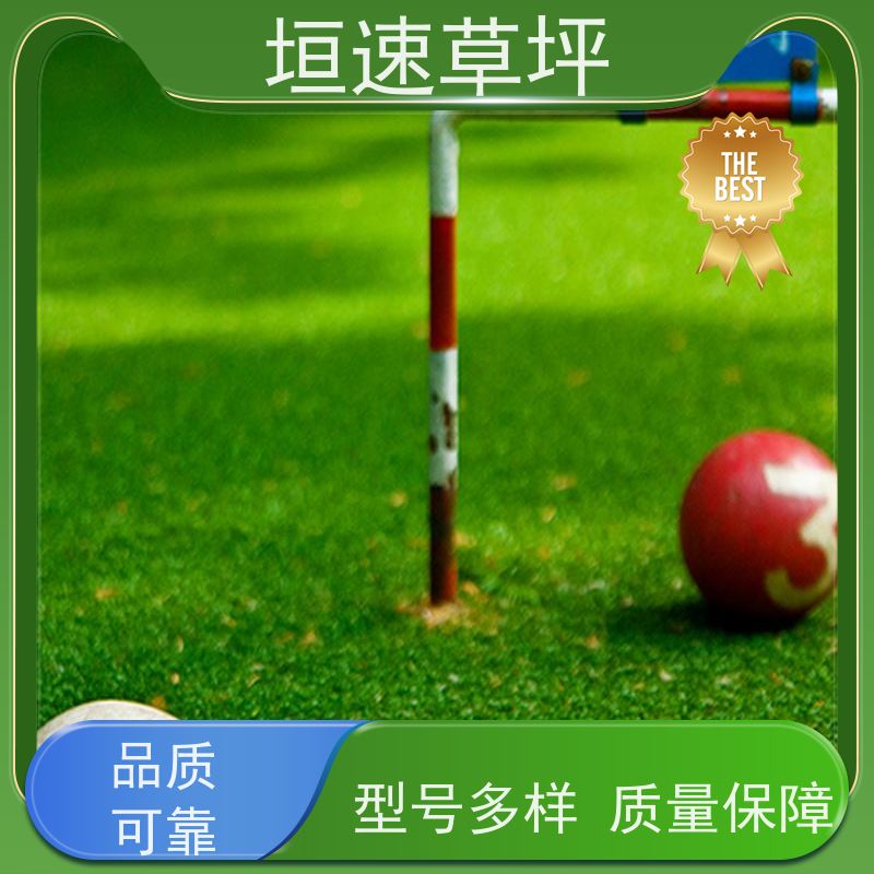 垣速草坪 橄榄球场 人造草 改造工序 防晒不剥落