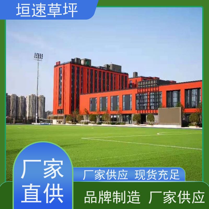 垣速草坪 橄榄球场 翻新 规格齐全 耐水性漆膜不起泡
