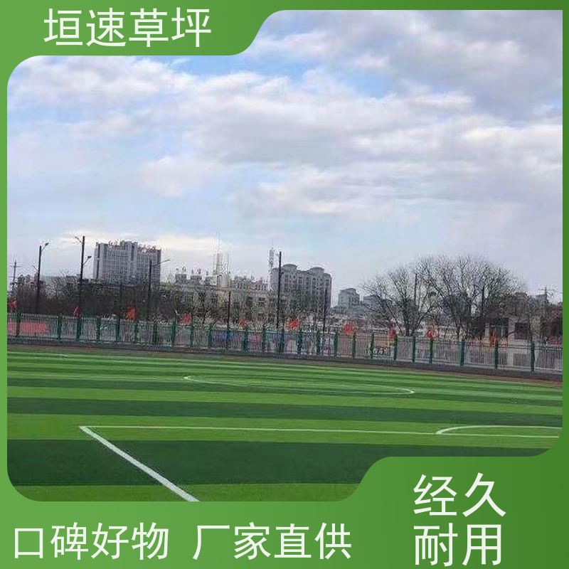 垣速草坪 笼式足球场 人工假草皮 安装铺设 颜色多样 红黄蓝绿等