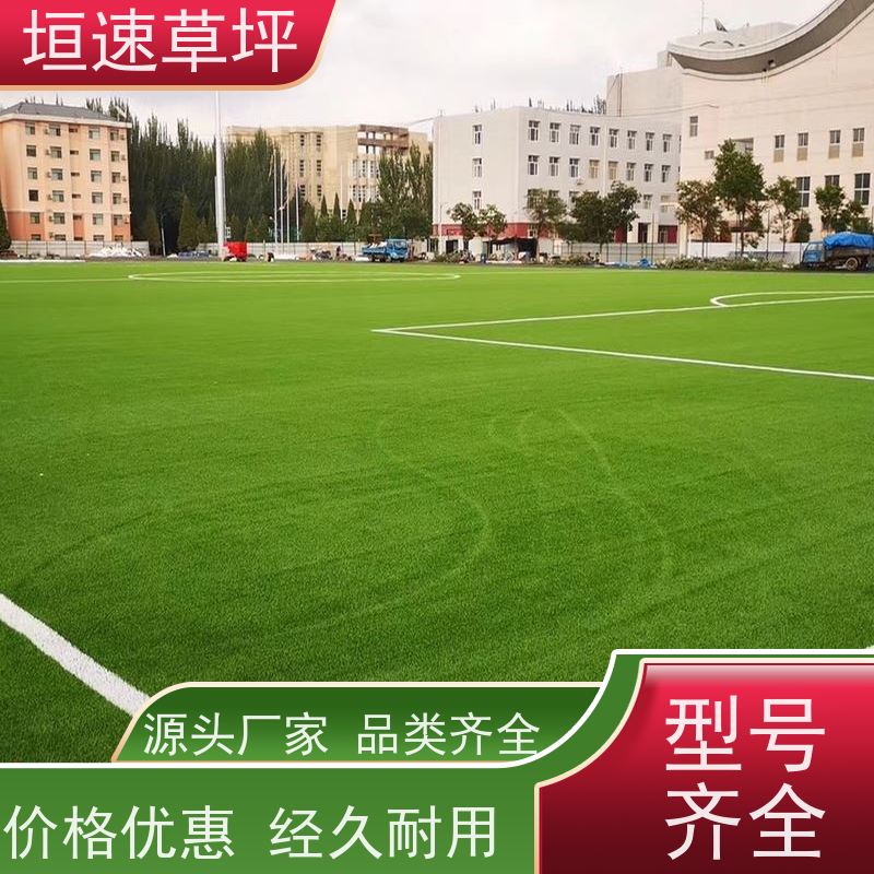 垣速草坪 十一人制足球场 翻新 运动场人工草皮 33一平方