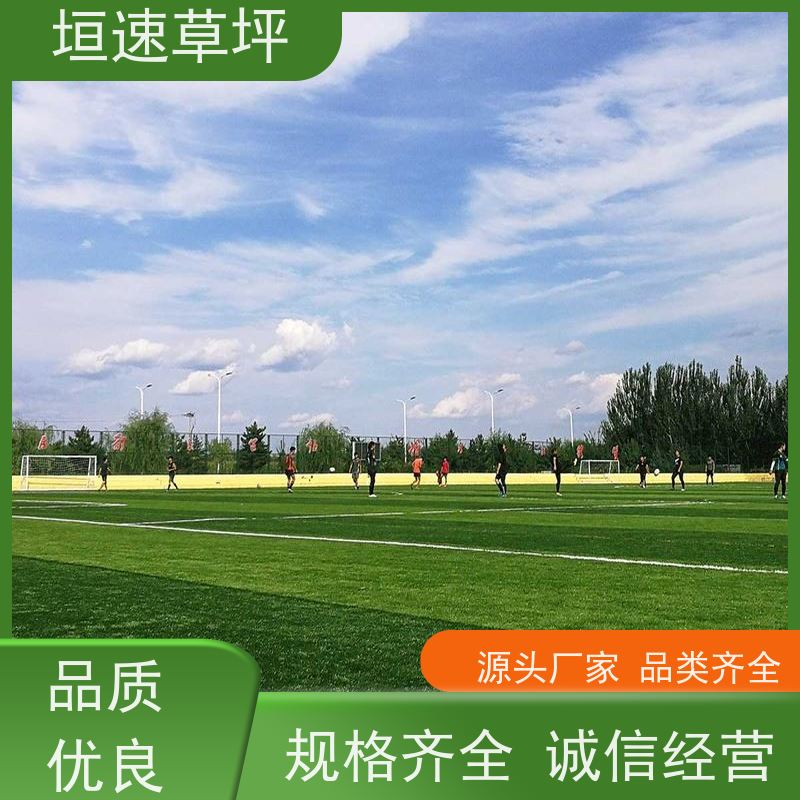 垣速草坪 八人制足球场 改建 运动场人工草皮 渗水性好