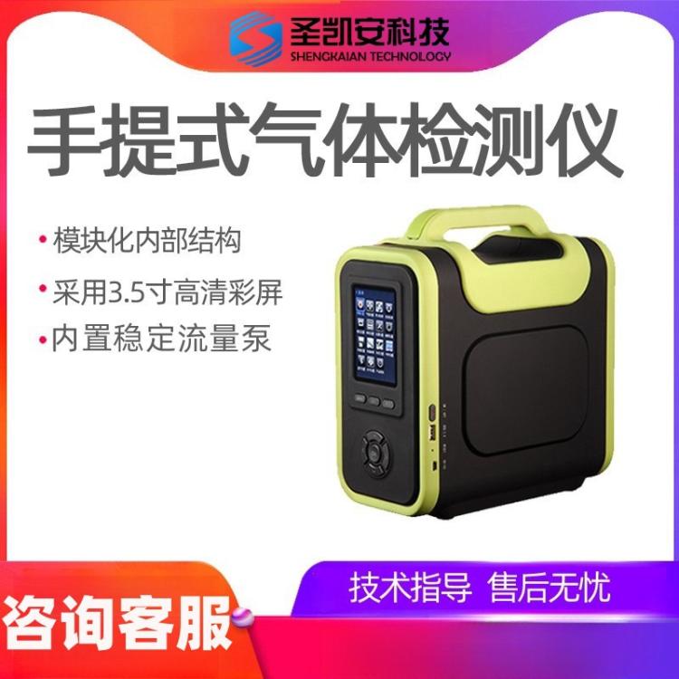 SKA/NE-CH3Br手提式溴甲烷分析仪/CH3Br气体检测仪