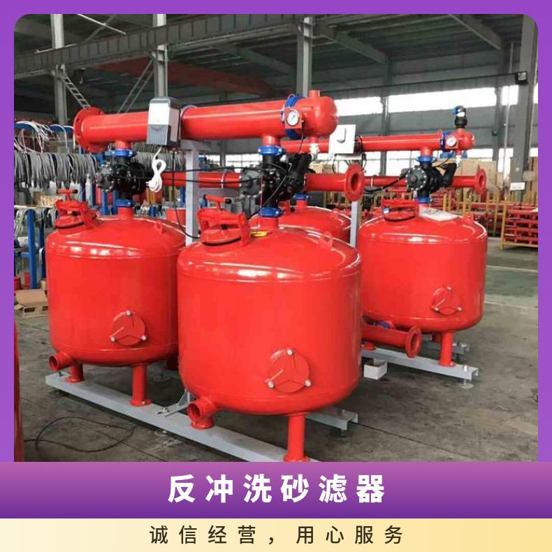 砂滤器 自动反冲洗定制 励进 工厂企业用水 LJSS40-2