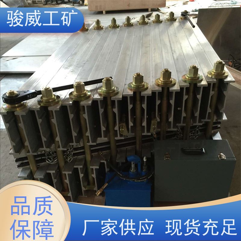 厂用 DRLJ-1200*830 橡胶带硫化机 电动加压泵 坚固耐用