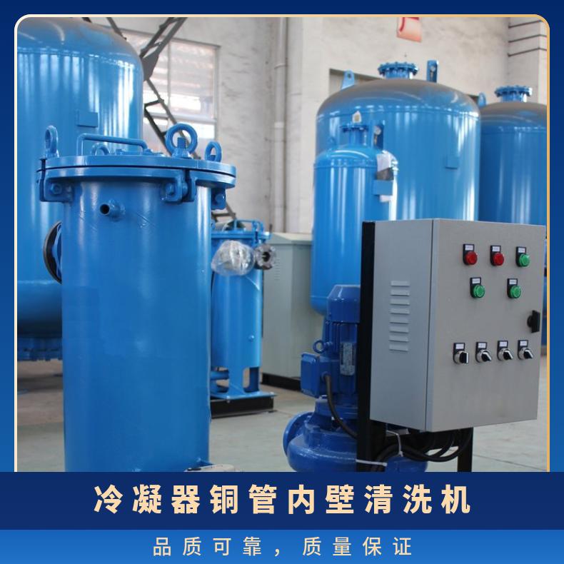 小球清洗装置 全自动冷凝器自动定制 全国 励进 是 LJJQ-200