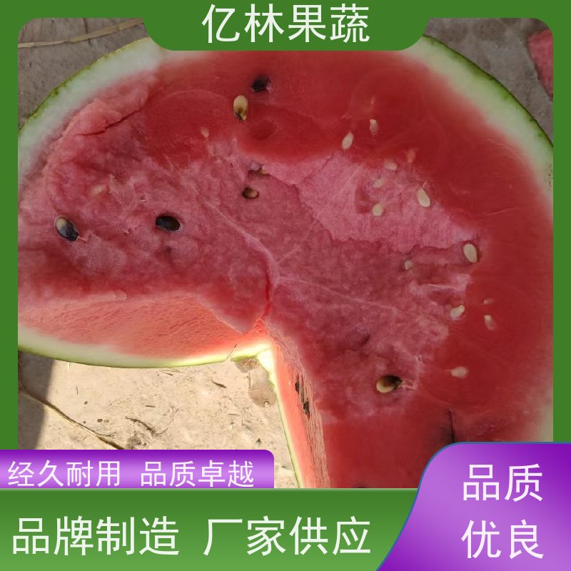 哪里的8424西瓜价格便宜 哪里有8424西瓜 安徽砀山西瓜种植基地