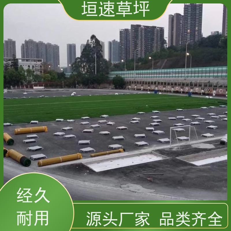 垣速草坪 八人制足球场 改造 仿真草皮 供应出售