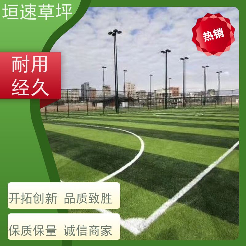 惟上体育 运动场 仿真草坪 上门施工 耐水性漆膜不起泡