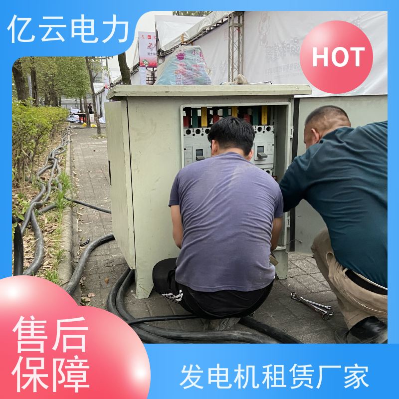 南 宁隆安县发电机出租电话 自启动控制模式 长期供应 品质可信