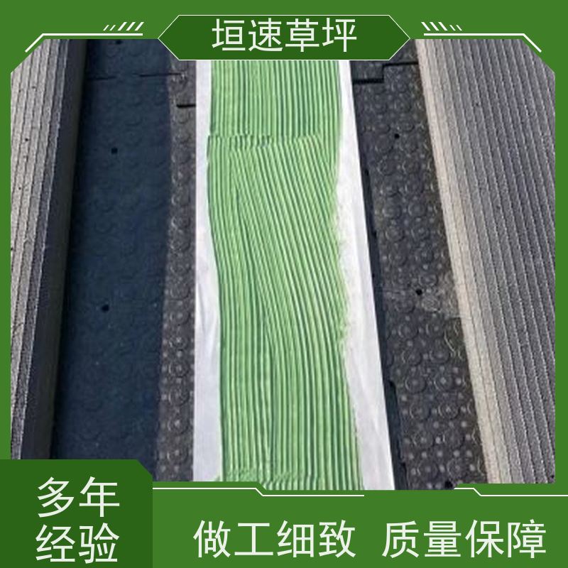 垣速草坪 足球场 人造草 施工标准 沥青基础可防水