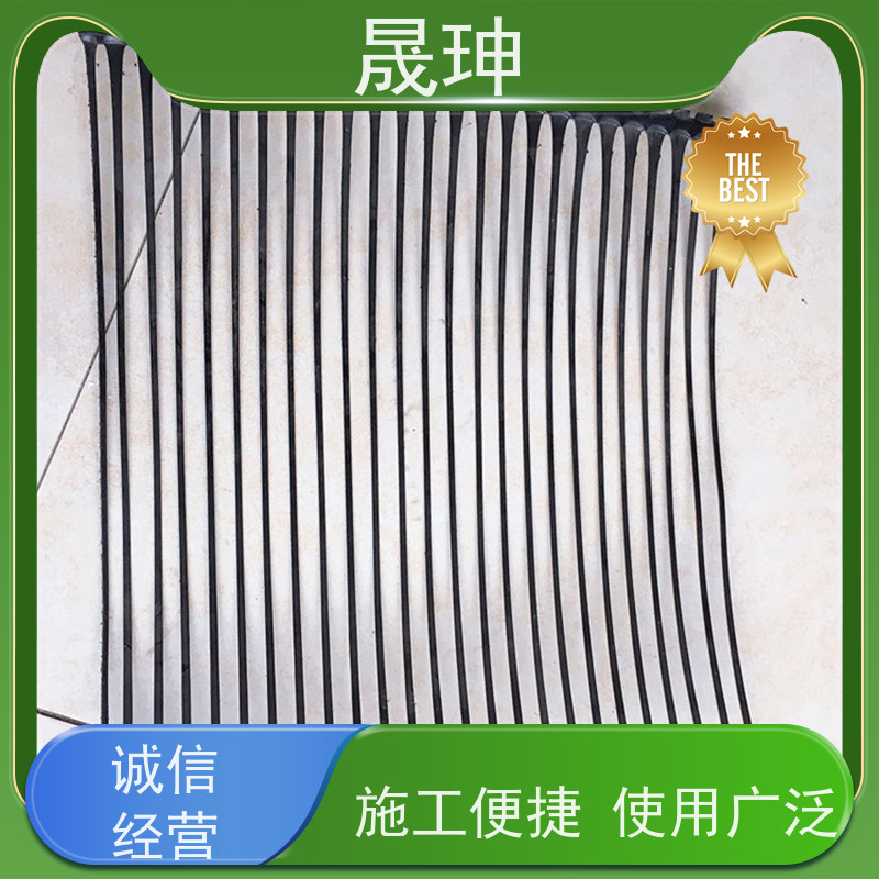 晟珅 长期供应 单向塑料土工格栅 使用时间长 性价比高