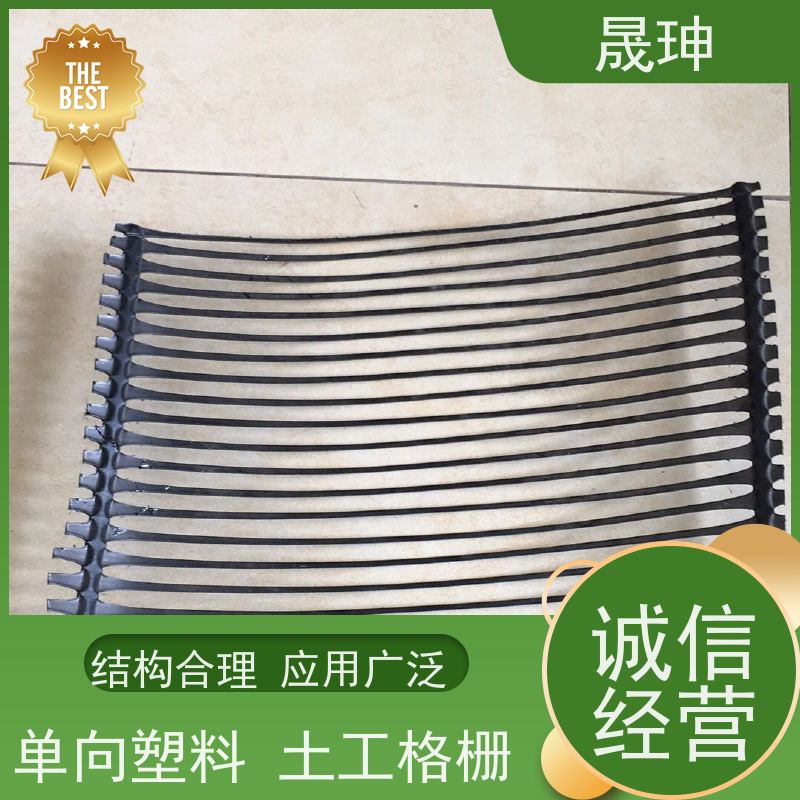晟珅 长期供应 单向塑料土工格栅 应用广泛 性价比高