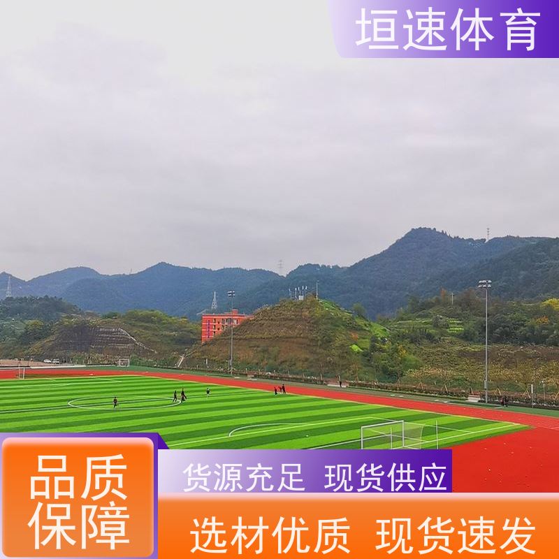 垣速 中小学操场跑道翻新改造 弹性塑胶pu地垫 耐候性：3000 耐磨吸震
