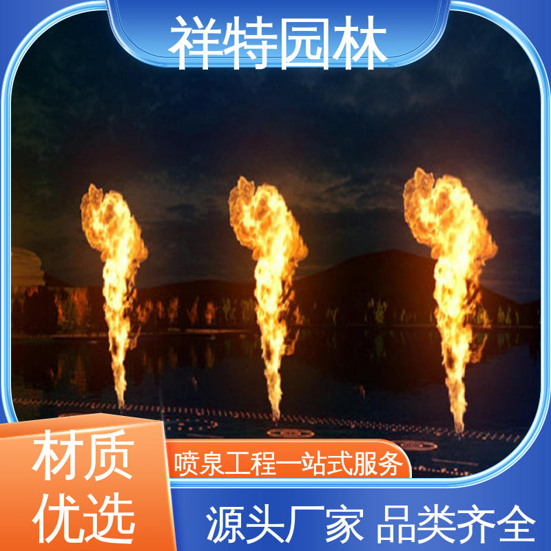 祥特园林 款式多样 焊接工艺 DMX512喷泉 七彩灯光排列