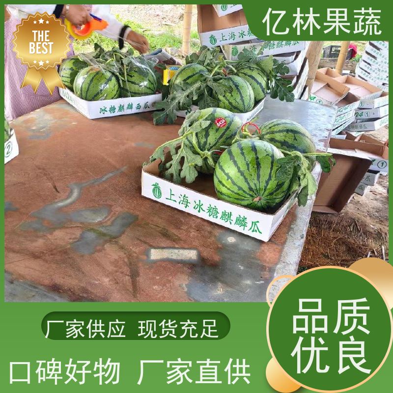 早熟大棚西瓜 皮薄超甜现摘现发 薄皮沙瓤 脆甜薄皮沙瓤
