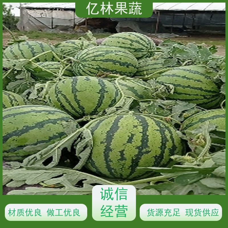西瓜批发 甜王西瓜新品上市 薄皮沙瓤双星西瓜价格便宜卖?
