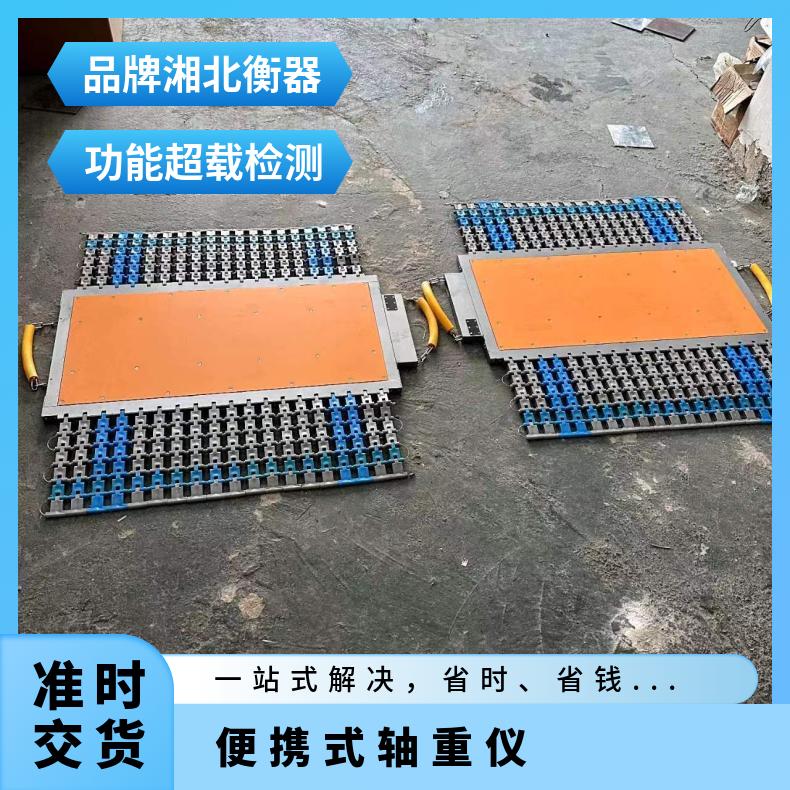 手持式称重显示仪 便携式移动电子磅秤 STW-40T轮轴秤