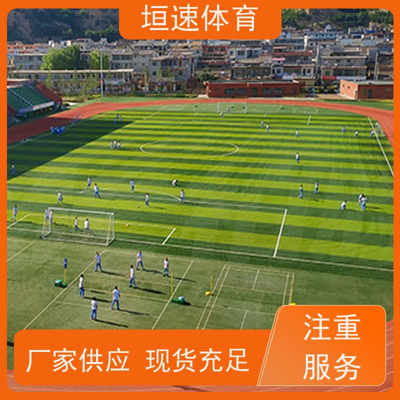 垣速 硅pu塑胶跑道 校园田径场铺设 地塑地板 减震耐磨